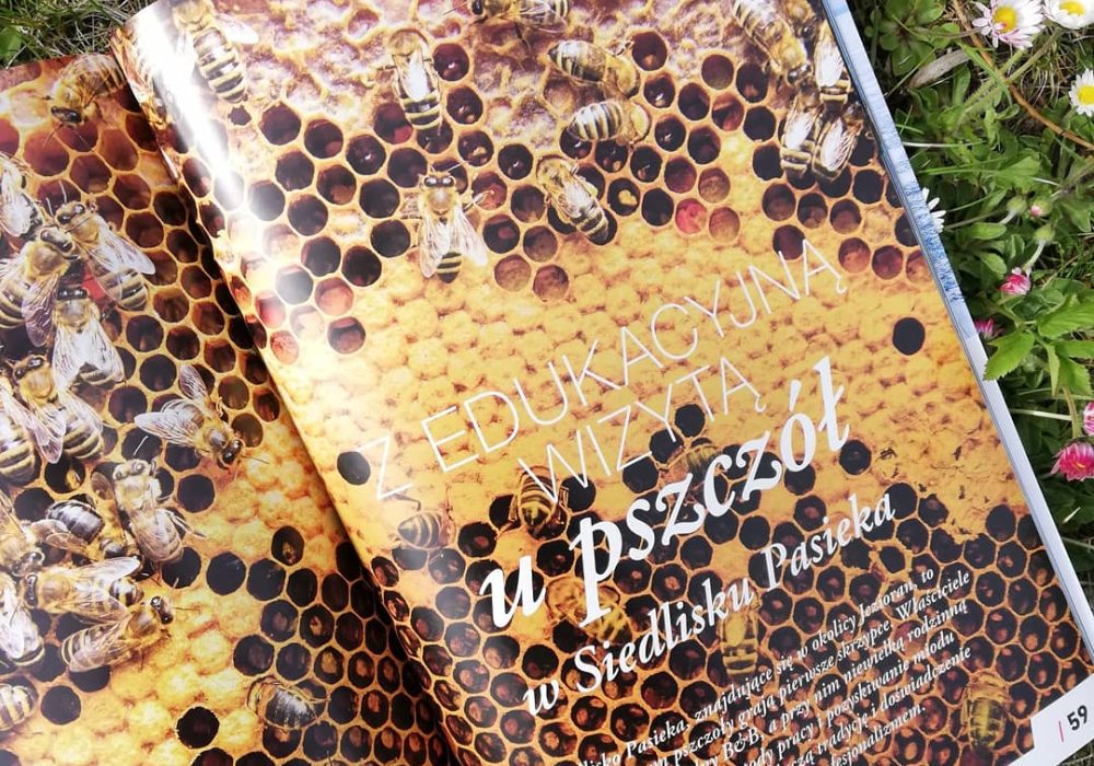 IMG_20190508_161959_810